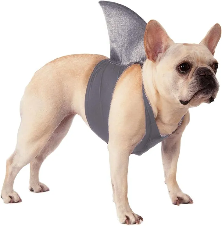 Rubies Shark Fin Dog Costume for Themed Parties and Halloween, Small/Medium