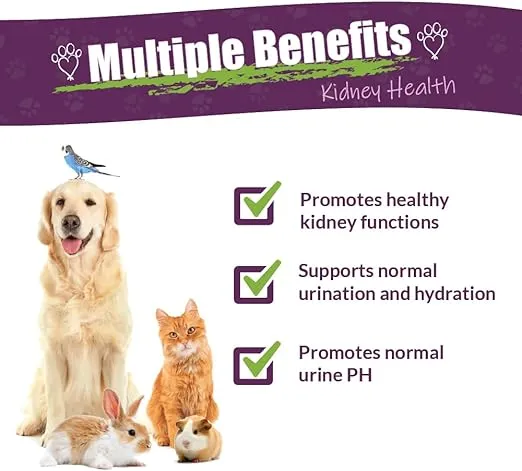 Amber NaturalZ Kidney Rejuvenator Herbal Supplement for Dogs, Cats, Birds, Guinea Pigs, and Rabbits | Pet Herbal Blend for Kidney Support | 1 Fluid Ounce Glass Bottle | Manufactured in The USA