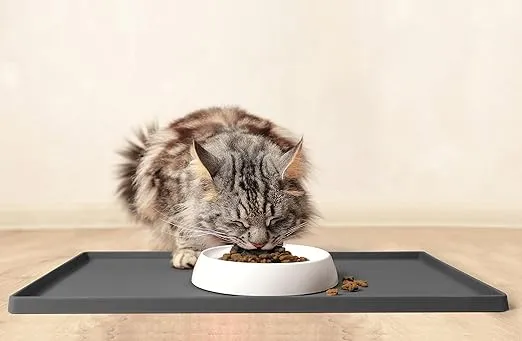 CatGuru Cat Bowls, Whisker Stress Free Food Bowl, Reliefs Fatigue, Wide Non Slip Shallow Dish, Feeding & Watering Supplies (Set of 2, Marshmallow)