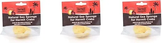Fluker's Natural Sea Sponge for Hermit Crabs (3 Pack)