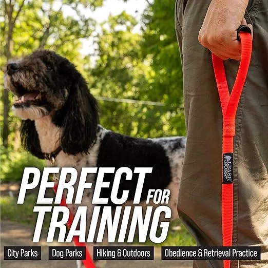 Leash Boss Extra Long Dog Leash - Long Lead Leash for Dog Training - Recall Leash for Dogs Outside