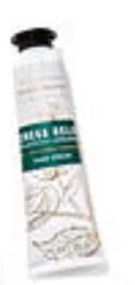 Bath and Body Works EUCALYPTUS SPEARMINT Gift Bag
