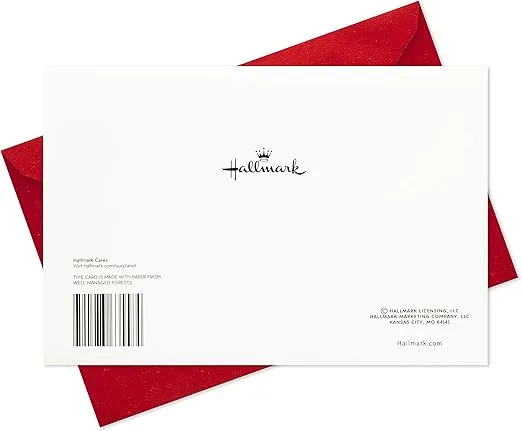 Hallmark Boxed Holiday Cards (Season's Greetings Snowflake, 40 Holiday Cards with Envelopes)