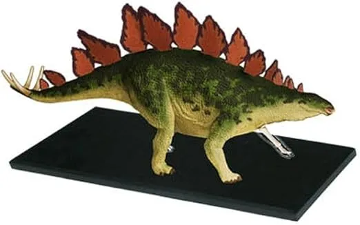 Famemaster 4D Vision Stegosaurus Anatomy Model