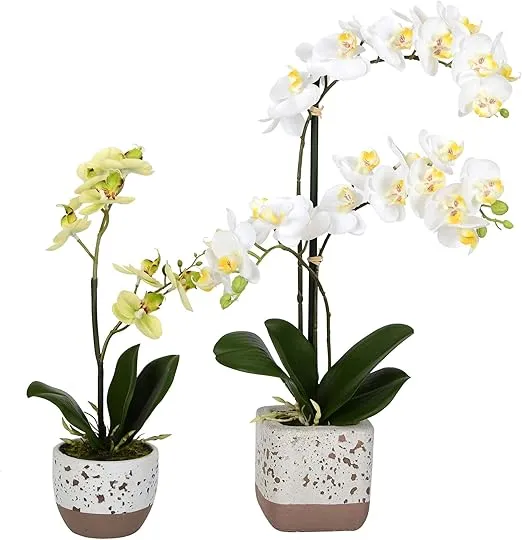 Vickerman 13.5", 18" Artificial Mini White Phalaenopsis, Set of 2, Real Touch