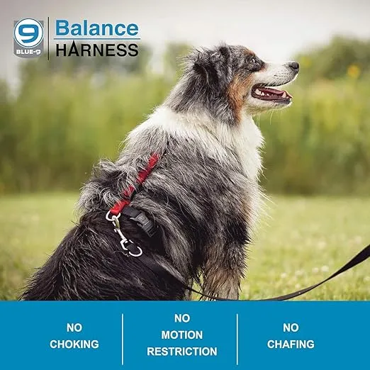 Blue-9 Buckle-Neck Balance Harness, Fully Customizable Fit No-Pull Harness, Ideal for Dog Training and Obedience, Made in The USA, Camo, Large