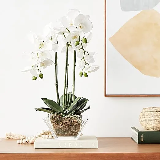 Nearly Natural 4570 Triple Phalaenopsis Orchid in Glass Vase,Green/White