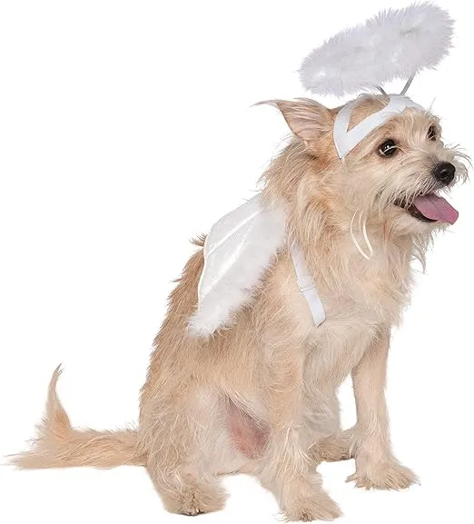 Rubie's Angel Halo and Wings Pet Costume Accessory Set, Medium to Large
