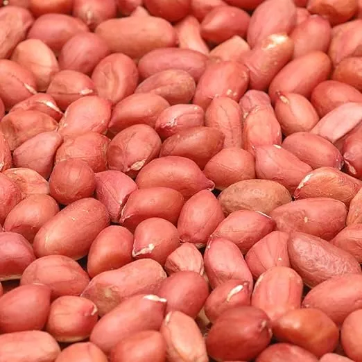 Roasted Unsalted Redskin Peanuts by Its Delish, 1 Lb (16 Oz) Bag | Gourmet Red Skin Peanut Snack Nuts with No Shell | Salt Free, Vegan, Kosher
