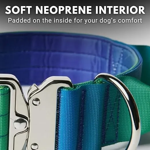 Spark Paws Tactical Dog Collar - Heavy Duty, Premium Quality, Thick and Durable for Large and Medium Dogs - Lime Wave - L