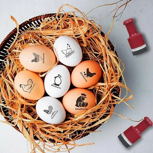 Egg Stamp, Custom Egg Stamp, Personalized Egg Stamp, Egg Stamps for Fresh Eggs, Farm Fresh Egg Stamp, Chicken Egg Stamp Personalized, Fresh Egg Stamp, Custom Duck Egg Stamp, Chicken Egg Stamps