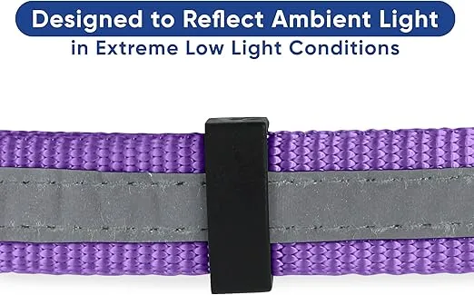 Pawtitas Martingale Dog Collar with Chain a Reflective Dog Training Collar for Large Dogs | Nylon No Pull Dog Collar for Large Dog - Purple