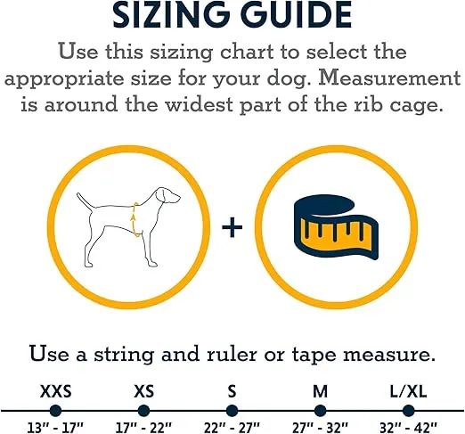 Ruffwear, Web Master, Multi-Use Support Dog Harness, Hiking and Trail Running, Service and Working, Everyday Wear, Blaze Orange, XX-Small