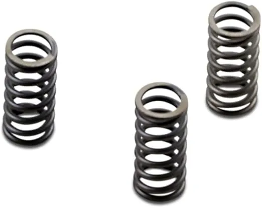 EBC Brakes CSK Clutch Spring Kit Compatible for Harley Davidson FLHR Road King 2017