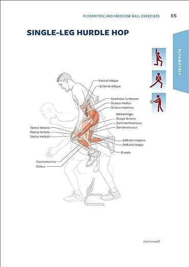 Functional Training Anatomy