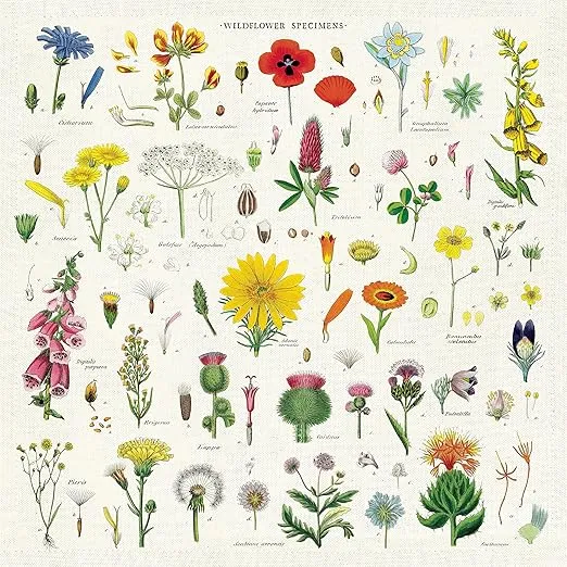 Cavallini & Co. Wildflowers Vintage Style Napkins, Set of 4, Assorted, Model Number: NPKN/WF