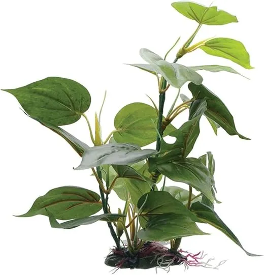 Fluval Anubias Plant for Aquarium, 12-Inch