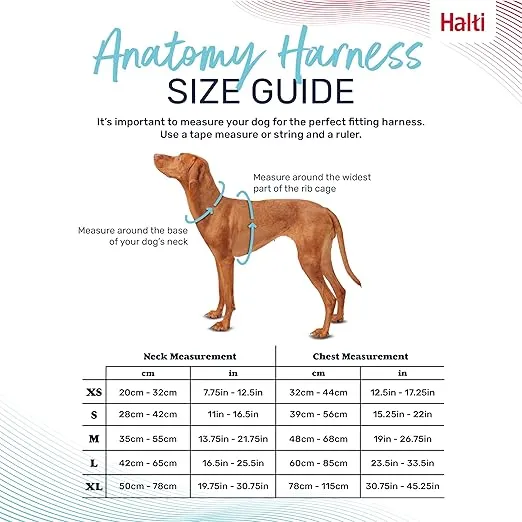 HALTI Anatomy Dog Harness with Handle - Provides Your Dog Freedom of Movement for Comfortable Walking. 3 Leash Attachment Points, Neoprene Padded, Adjustable, and Reflective (Size X-Large, Green)