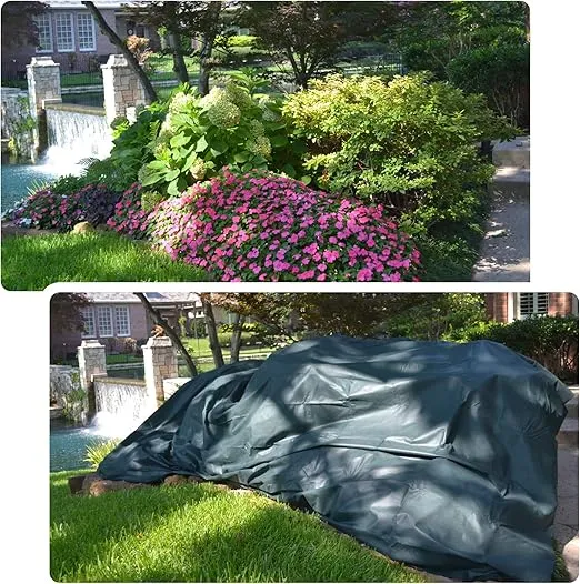 11012 10 x 12 ft Rectangular Frost Protection Plant Cover, Dark Green