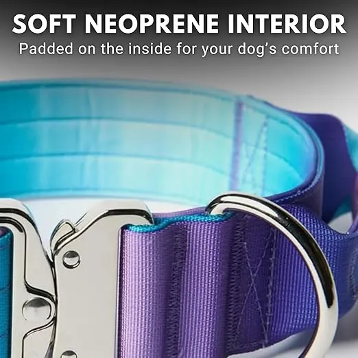 Spark Paws Tactical Dog Collar - Heavy Duty, Premium Quality, Thick and Durable for Large and Medium Dogs - 90s Retro - M