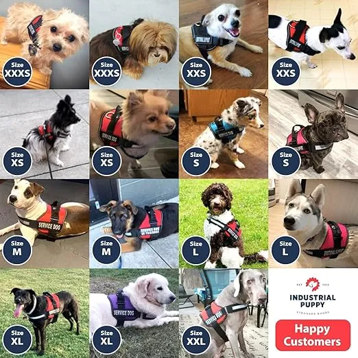 Industrial Puppy Emotional Support Vest Harness with Hook, Loop Straps and Handle, 2 Reflective Service Emotional Support Self-Adhesive Straps, ESA Matching Leash Set, Dog Accessories, XS, Bright Red