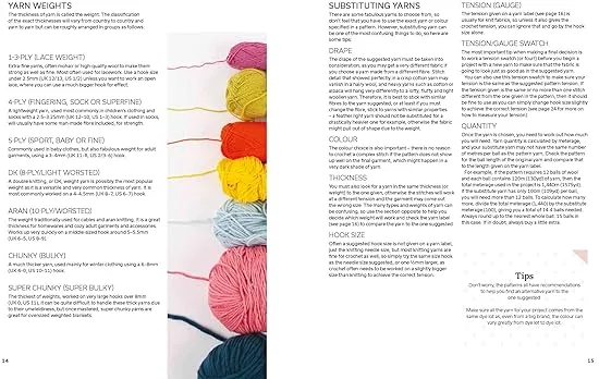 Beginner's Guide to Crochet, The: Easy techniques and 8 fun projects