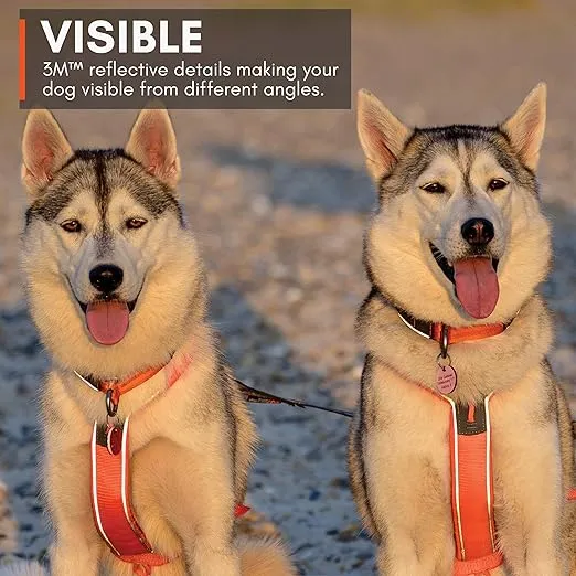 Non-stop dogwear Line Harness 5.0, Padded Dog Harness for Medium Dogs, Made for Hiking, Sport and Everyday Active Life with 3 Leash Clips, Reflectors and Ergonomic Fit, Orange, Size 6