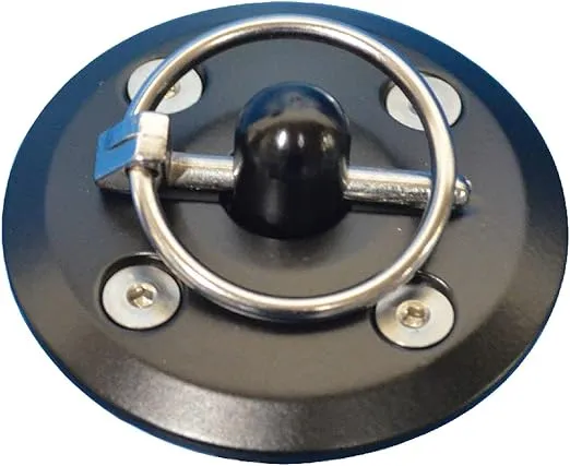 MS110-44BA Hood Pin Kit Black Anodized Pair