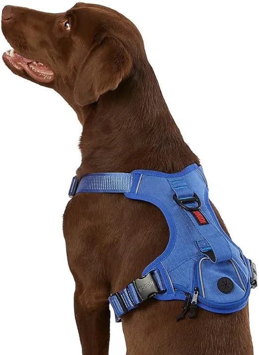 KONG Ultra Durable Waste Bag Harness (Large, Blue)