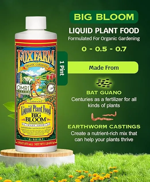 FoxFarm - Big Bloom Plant Food, Liquid Fertilizer Concentrate for Flowers, Fruits, and Vegetables, All Purpose Plant Fertilizer for Indoor & Outdoor Potted Plants, NPK 0.01-0.03-0.7 (Pint)