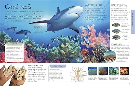 The New Children's Encyclopedia: Packed with thousands of facts, stats, and illustrations (DK Children's Visual Encyclopedias)