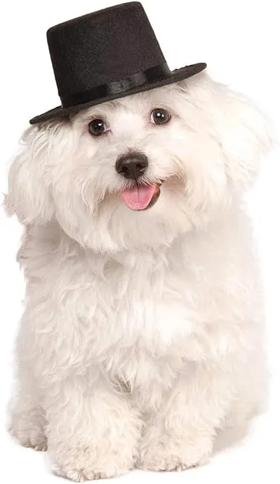Rubies Top Hat for Your Pet, Small/Medium for Themed Parties and Halloween
