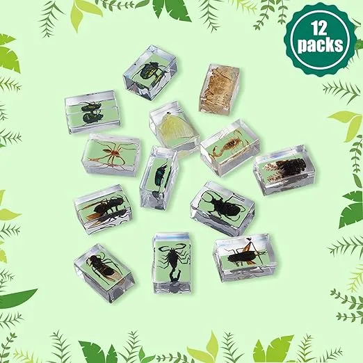 12 Pcs Insect in Resin Bug Preserved Specimen Collection Paperweights Resin Insects Various Insect Specimen for Kids Scientific Educational Toy Display Supplies,Private Collection, Home Decor