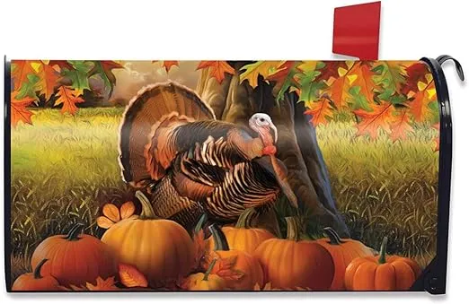 Briarwood Lane Harvest Turkey Fall Magnetic Thanksgiving Mailbox Cover Autumn Pumpkins Standard