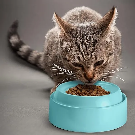 CatGuru Cat Bowls, Whisker Stress Free Cat Food Bowl, Reliefs Whisker Fatigue, Wide Cat Bowl, Non Slip Cat Food Bowls, Shallow Cat Dish, Cat Feeding & Watering Supplies (Set of 2 Bowls, Aruba)