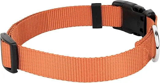 Country Brook Petz - American-Made Dog Collar for Large, Medium, and Small Dogs and Puppies - Deluxe Heavy Duty Nylon in 33 Dazzling Colors (Large, 1 Inch Wide, Coral)