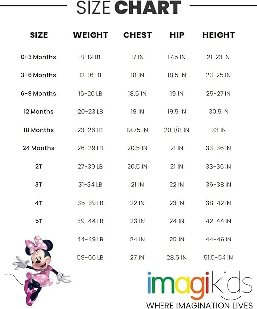 Disney Princess Minnie Mouse Winnie the Pooh The Aristocats Fleece Sweatshirt & Pants Outfit Set Newborn to Big Kid Sizes