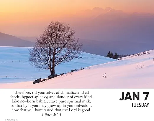 Willow Creek Press Bible Verses Daily 2025 Box/Desk Calendar (5.86" x 4.72")