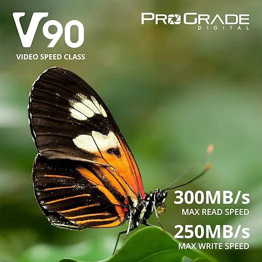 ProGrade Digital SDXC UHS-II V90 300R Memory Card (64GB)