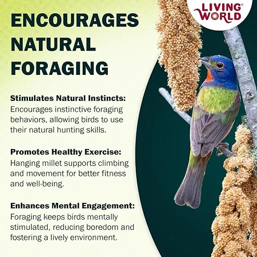 Living World – Millet Spray for Birds, 7 Oz – Premium Treat for Budgies, Canaries, Finches, Cockatiels and Other Pet Birds