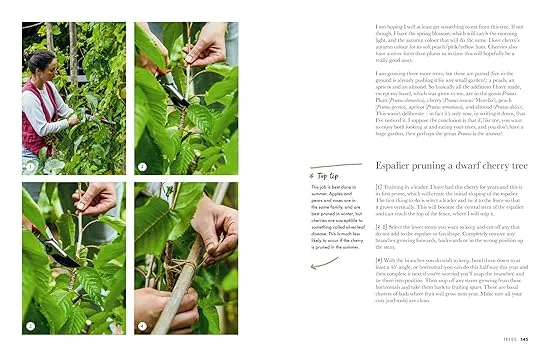 Gardeners’ World: A Year in a Small Garden