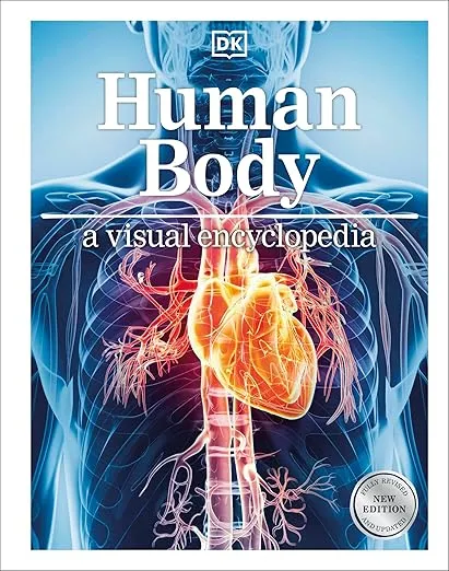Human Body: A Visual Encyclopedia (DK Children's Visual Encyclopedias)