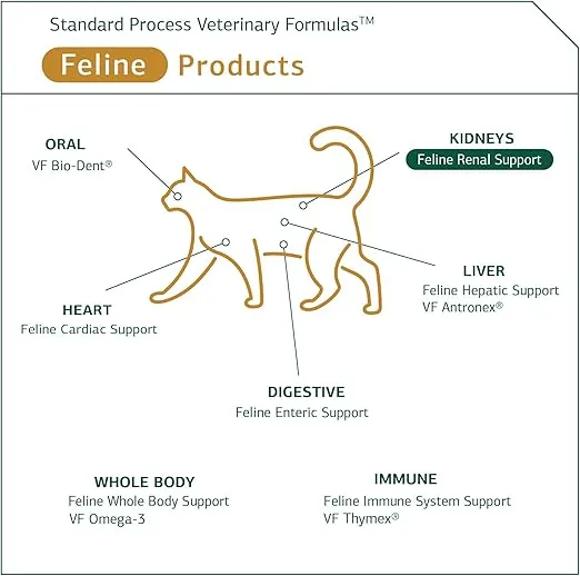 Standard Process Feline Renal Support - Cat Supplement to Support Kidney & Urinary Health - Cat Supplies with Whole Food Ingredients - Feline Supplement for Kidney Function Support - 90 Tablets