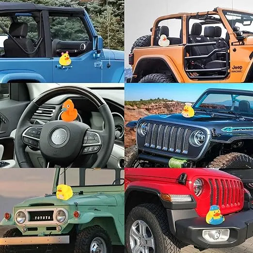 Rubber Ducks in Bulk,Assortment Duckies for Jeep Ducking Floater Duck Bath Toys Party Favors (30-Pack)