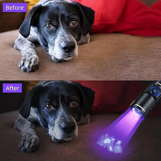 DARKBEAM UV Flashlight Black Light LED 395 NM, Ultraviolet Flashlights, Rechargeable USB-C Woods Lamp, Water Resistant Focusable, for Leak Detection and Curing UV Resin