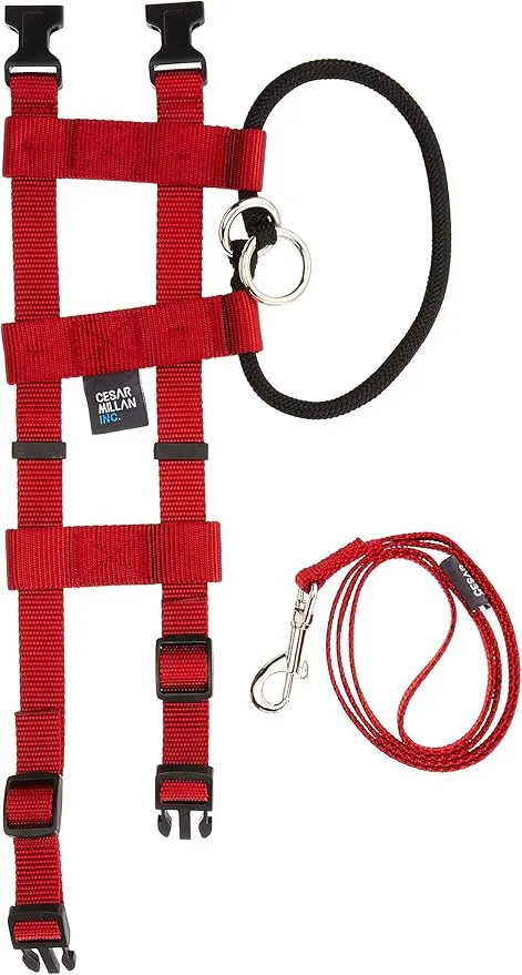 Cesar Millan Original American Illusion Collar Training Collar & Lead