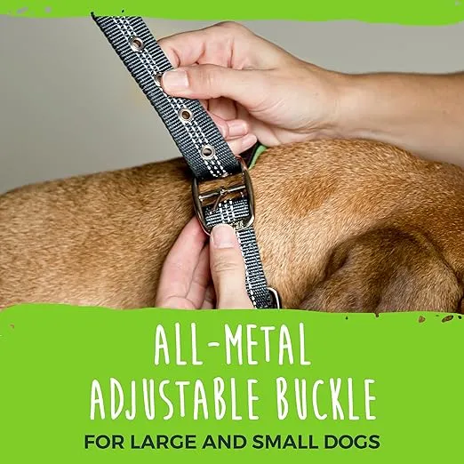 Mighty Paw Dog Collar - Ultra Soft Padded Comfort - Neoprene Lining - High Visibility Reflective Threading - Weatherproof Nylon - Adjustable Dog Collar - Comfortable Dog Collar for All Dog Breeds