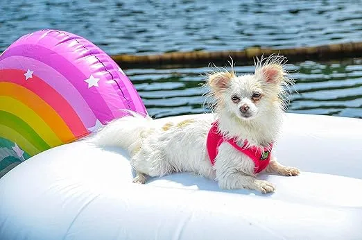 EcoBark Step in Dog Harness - Soft Mesh Dog Vest Harnesses for Puppies and Small Dogs - Reflective and Adjustable No Pull and No Choke Halter Harness - Air Comfort Padded Body Harness (Small, Pink)