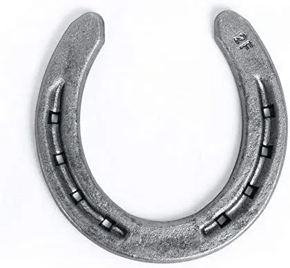 Steel Horseshoes Set for Horses, Crafts, Decorations and Backyard Games - Size 00 - R2-F - Sand Blasted 10 Shoes