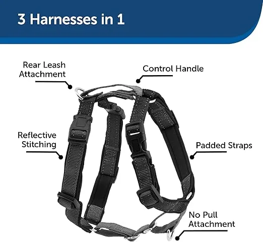 PetSafe 3 in 1 Harness with Two Point Control Leash, No-Pull Harness, Medium, Black, Adjustable